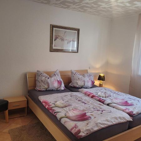 Ferienwohnung Jasmin in Schönau bei Heidelberg FEWO 2 Schonau  Exterior foto